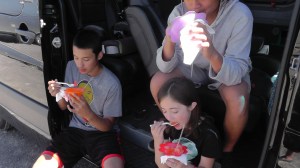 Yellowstone Trip 2014 254