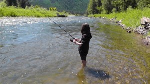 Yellowstone Trip 2014 415